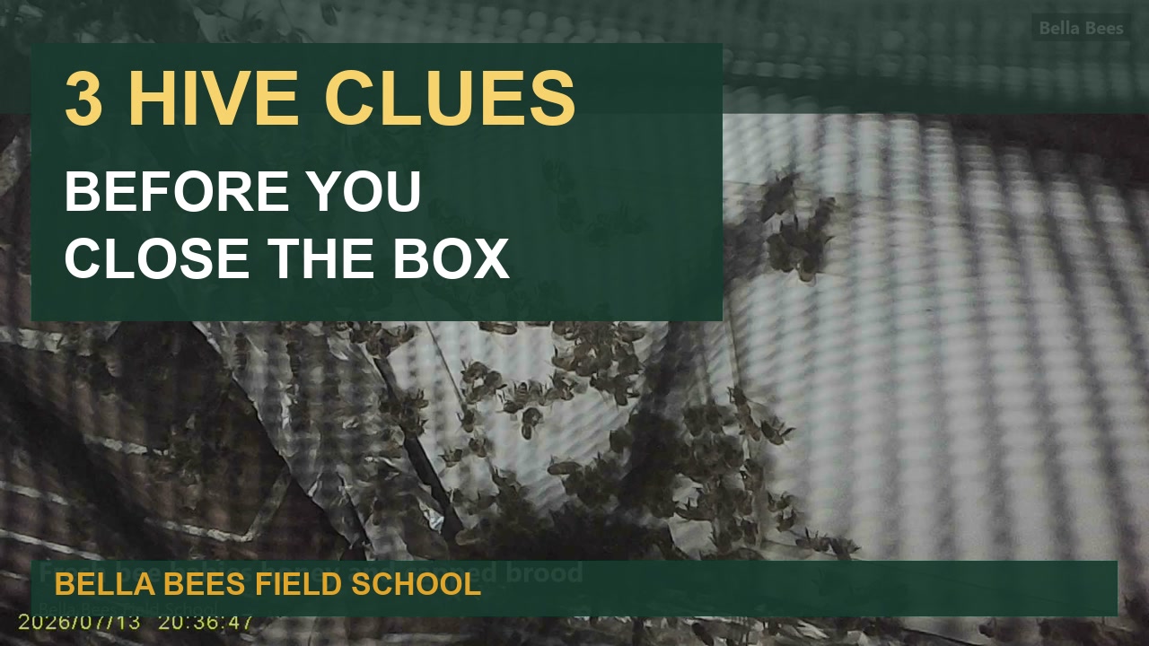 Poster for 3 Hive Clues Before You Close the Box | Bella Bees Field School